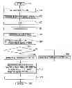 Fig. 01 - SEARCHING APPARATUS, AND SEARCHING METHOD