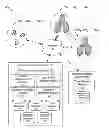 Fig. 01 - TARGETED CONTENT DELIVERY BASED ON ZONAL TAXONOMY