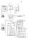 Fig. 01 - Management of class of service