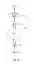Fig. 17 - Highly scalable architecture for application network appliances