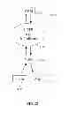 Fig. 22 - Highly scalable architecture for application network appliances