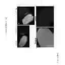 Fig. 09 - Compositions and methods for silencing gene expression