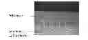 Fig. 01 - CUTTING TOOLS MADE FROM STRESS FREE CBN COMPOSITE MATERIAL AND METHOD OF PRODUCTION