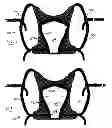 Fig. 06 - Torso cooling unit for personal wear