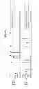 Fig. 08 - High purity chromatographic materials comprising an ionizable modifier