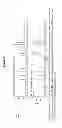 Fig. 10 - High purity chromatographic materials comprising an ionizable modifier