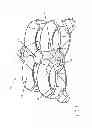 Fig. 07 - EGG WHITE-YOLK SEPARATOR DEVICE