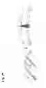 Fig. 32 - Hovering and gliding multi-wing flapping micro aerial vehicle