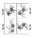 Fig. 55 - Hovering and gliding multi-wing flapping micro aerial vehicle