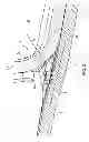 Fig. 03 - Seal assembly for an aircraft wing