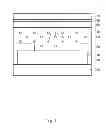 Fig. 02 - Semiconductor device and method for manufacturing the same