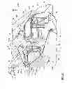 Fig. 09 - Windshield structure for saddle-ride type vehicle
