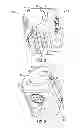Fig. 03 - EAS tag for bottles