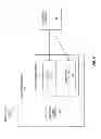 Fig. 07 - Encapsulated image acquisition devices having on-board data storage, and systems, kits, and methods therefor