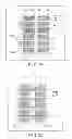 Fig. 24 - Magnetic random access memory