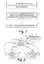 Fig. 09 - Non-instrusive network surveillance and characterization