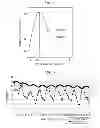 Fig. 03 - Temporal thermal imaging method for detecting subsurface objects and voids