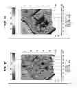 Fig. 06 - Temporal thermal imaging method for detecting subsurface objects and voids