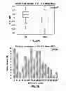 Fig. 03 - Methods for the identification and treatment of patients sensitive to anti IGF-1R inhibition therapy