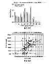 Fig. 04 - Methods for the identification and treatment of patients sensitive to anti IGF-1R inhibition therapy