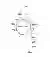 Fig. 02 - ORGANIC COMPOUNDS