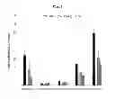 Fig. 02 - Pharmaceutical composition for the prevention and treatment of inflammatory disease or asthma containing an extract of 