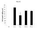 Fig. 03 - Pharmaceutical composition for the prevention and treatment of inflammatory disease or asthma containing an extract of 