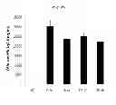 Fig. 04 - Pharmaceutical composition for the prevention and treatment of inflammatory disease or asthma containing an extract of 