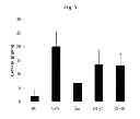 Fig. 05 - Pharmaceutical composition for the prevention and treatment of inflammatory disease or asthma containing an extract of 