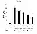 Fig. 07 - Pharmaceutical composition for the prevention and treatment of inflammatory disease or asthma containing an extract of 