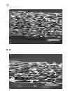 Fig. 07 - Blow-molded foam and process for producing the same