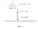 Fig. 02 - MANUFACTURING METHOD OF OXYGEN REDUCTION REACTION CATALYSTS AND CATALYSTS THEREOF, CATHODE USING OXYGEN REDUCTION REACTION CATALYSTS
