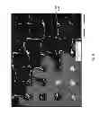 Fig. 09 - Method of fabricating patterned functional substrates