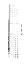 Fig. 35 - MEANS AND METHODS FOR INVESTIGATING NUCLEIC ACID SEQUENCES