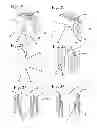 Fig. 07 - Amplification system with spatial separation