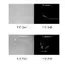Fig. 43 - Optical method for detecting viable microorganisms in a cell sample