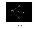 Fig. 44 - Optical method for detecting viable microorganisms in a cell sample