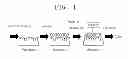 Fig. 02 - Composition of diagnostic biomarker for stomach cancer and method of diagnosing stomach cancer using the composition