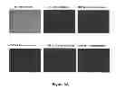 Fig. 04 - Promoters and terminators for use in eukaryotic cells
