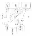 Fig. 09 - COMMUNICATION SYSTEM, BASE STATION APPARATUSES, AND TERMINAL DEVICES