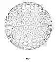 Fig. 08 - Golf ball