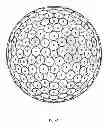 Fig. 41 - Golf ball
