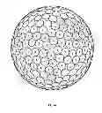 Fig. 43 - Golf ball