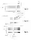 Fig. 02 - DETECTING DISEASE-CORRELATED CLONOTYPES FROM FIXED SAMPLES
