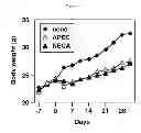 Fig. 06 - METHODS AND COMPOSITIONS FOR PREVENTING OR TREATING OBESITY