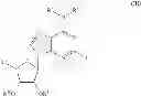 Fig. 08 - METHODS AND COMPOSITIONS FOR PREVENTING OR TREATING OBESITY