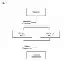 Fig. 02 - Spiroketals