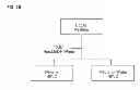Fig. 04 - Spiroketals