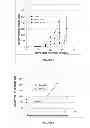 Fig. 06 - Spiroketals
