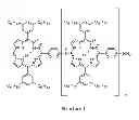 Fig. 01 - Soluble porphyrin polymers